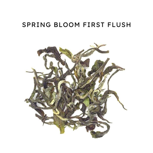 Spring Bloom First Flush Black Tea – Whole Leaf 100g