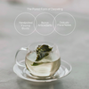 Full Moon Silver – Speciality Darjeeling White Tea 25g