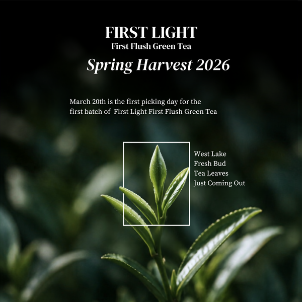 First Light First Flush Darjeeling Green Tea – Whole Leaf 100g
