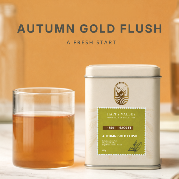 Autumn Gold Flush – Darjeeling Autumn Flush Black Tea 100g
