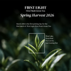 First Light First Flush Darjeeling Green Tea – Whole Leaf 100g