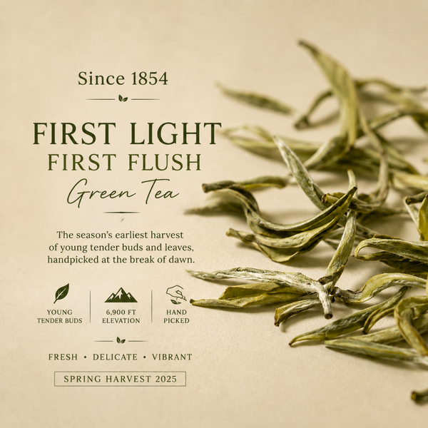 First Light First Flush Darjeeling Green Tea – Whole Leaf 100g