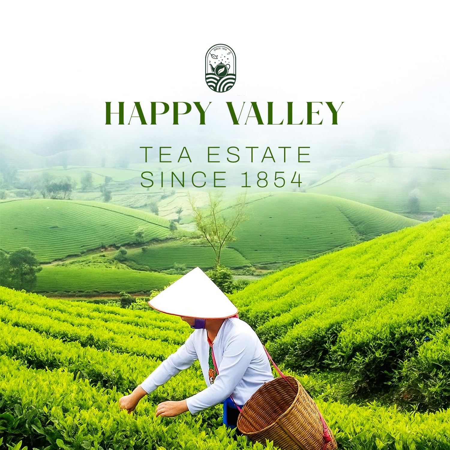 Person working in a tea field with 'Happy Valley Tea Estate' branding.