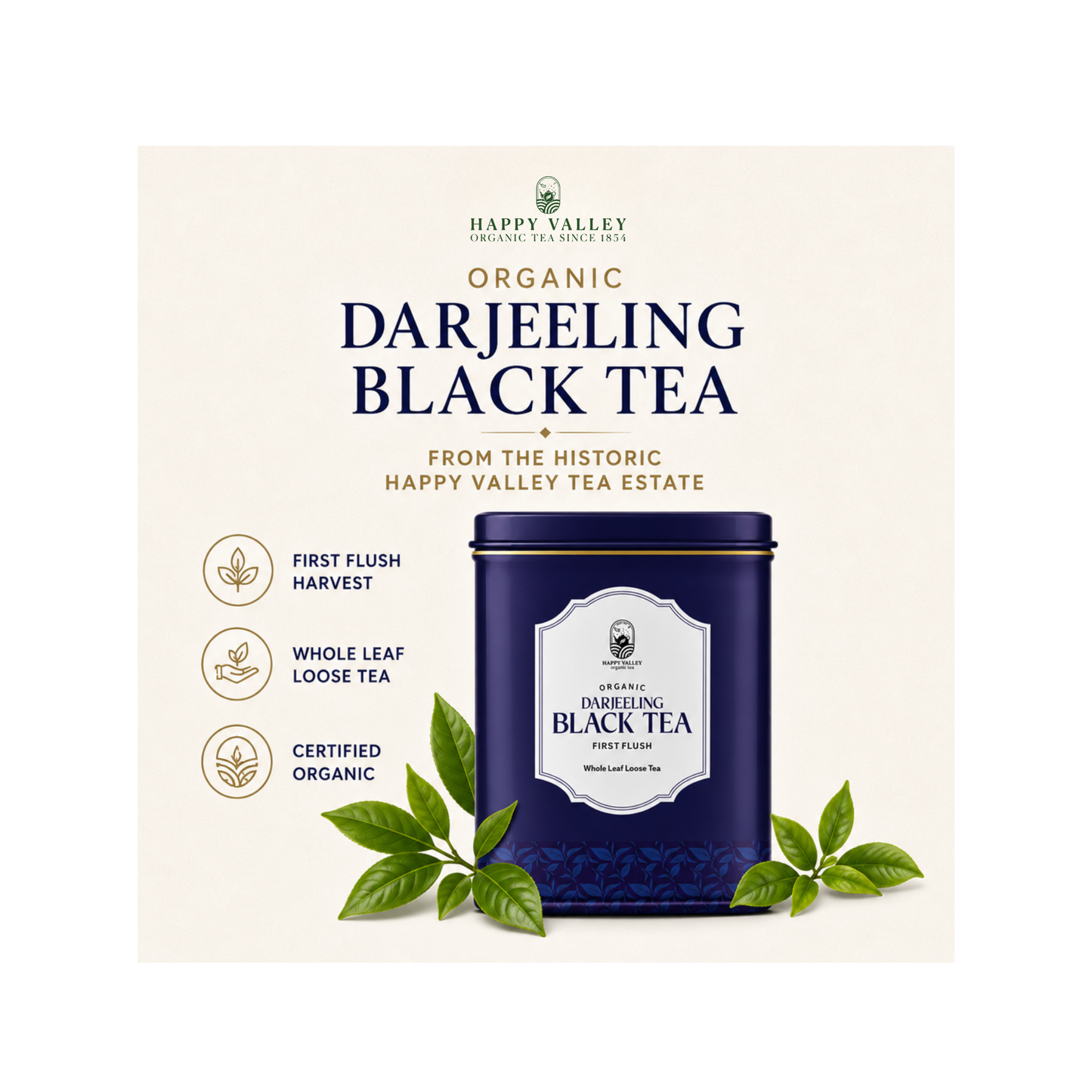 Black tea caddy product