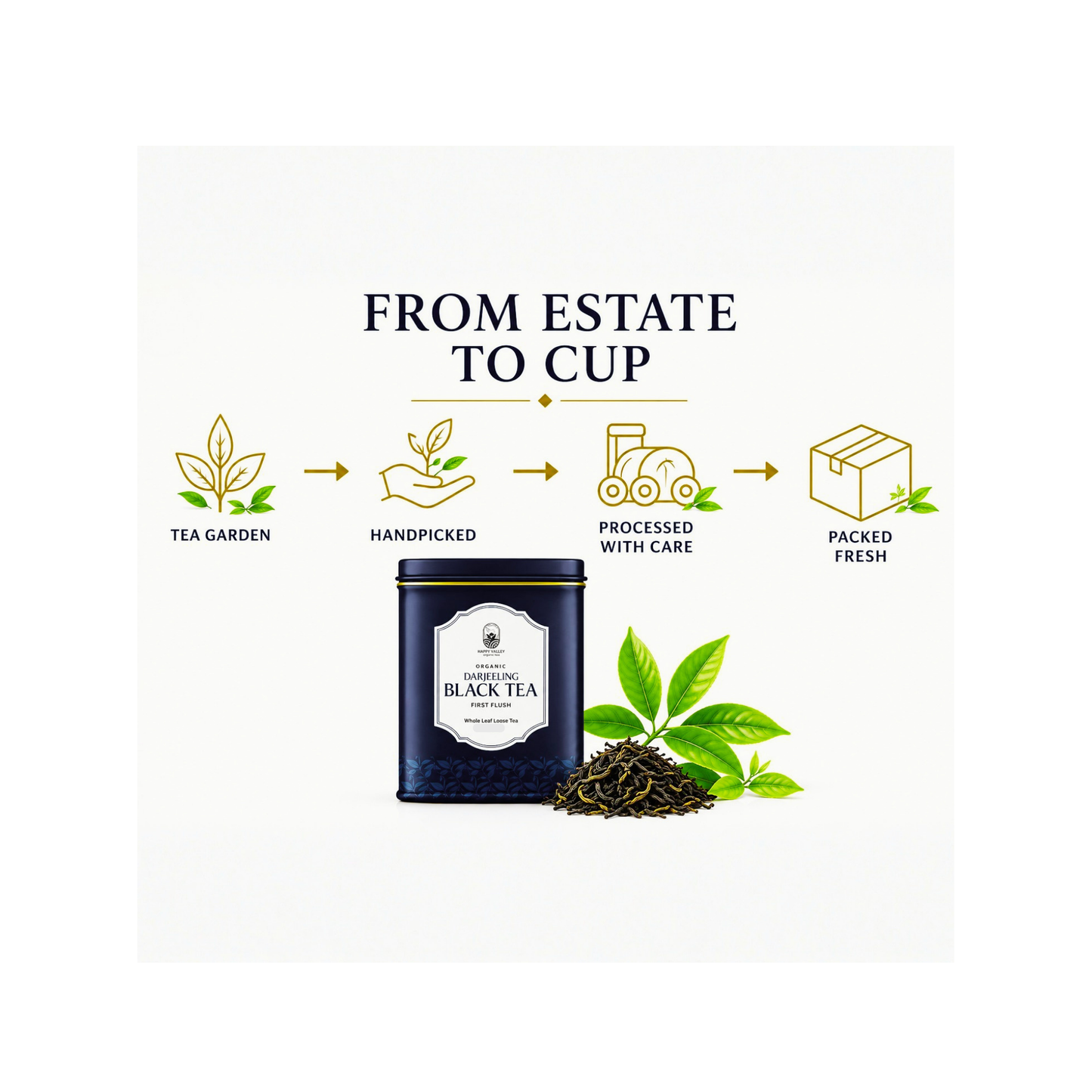 Black tea caddy product