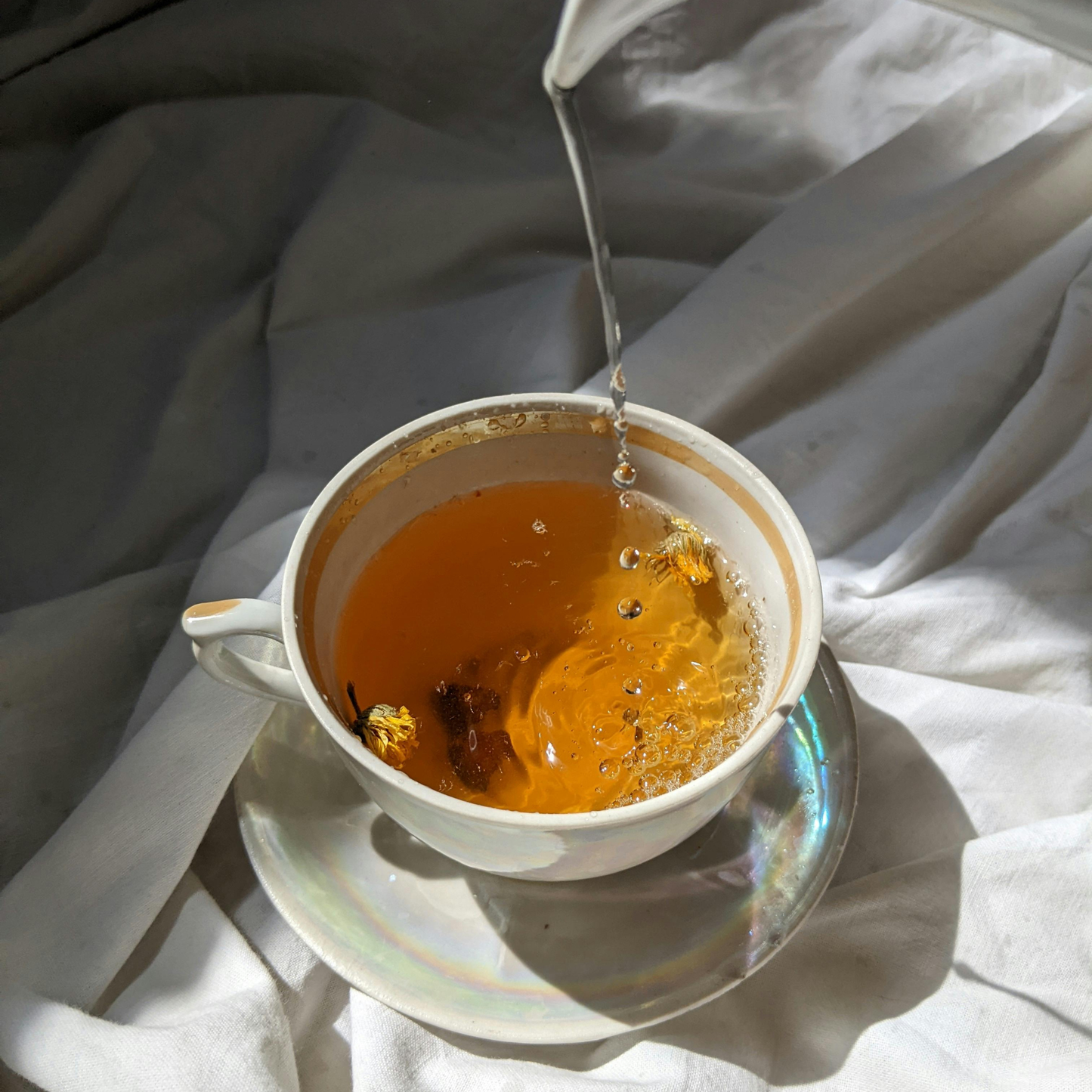 Happy Valley organic tea plantation lifestyle image with Darjeeling Chamomile Black Tea.
