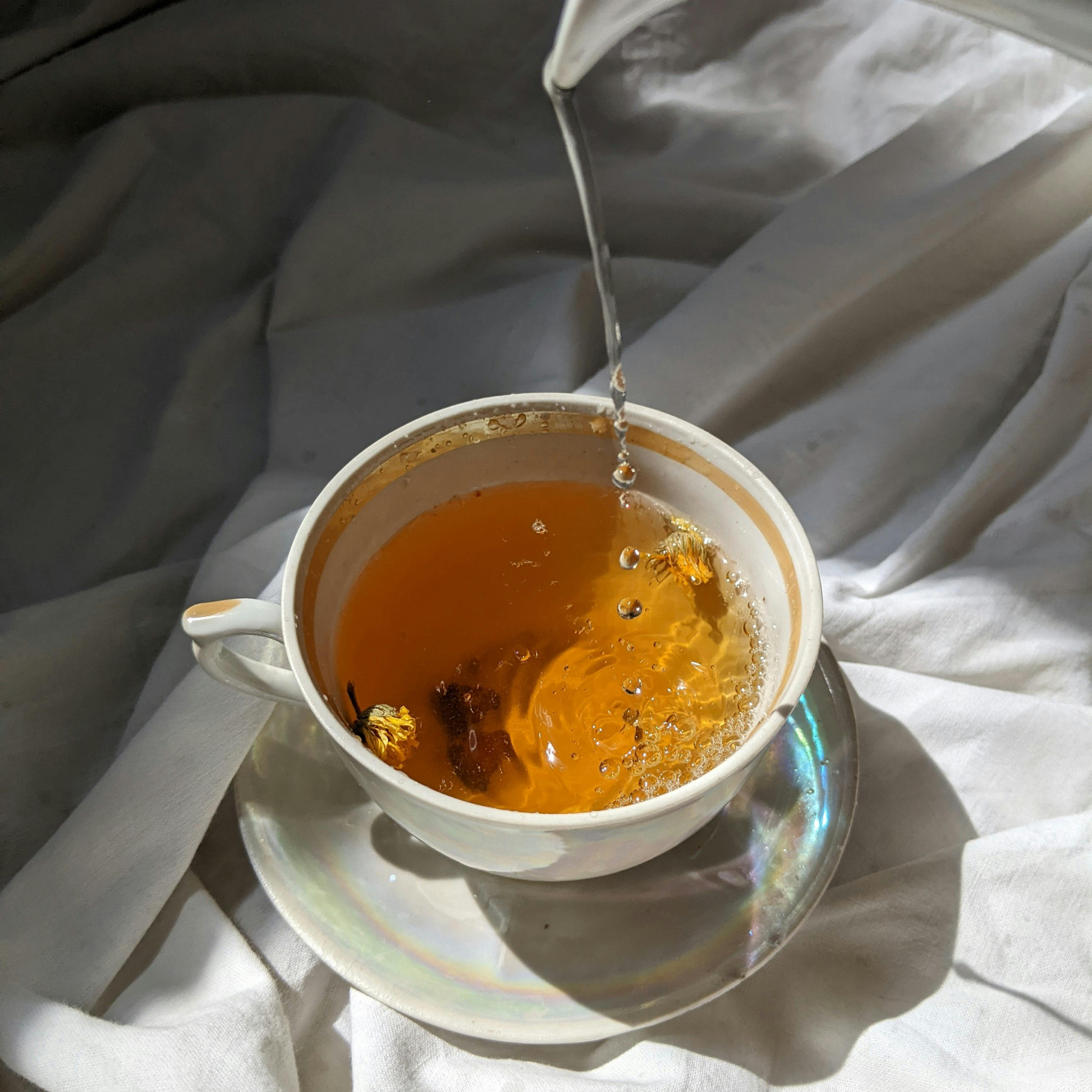 Happy Valley organic tea plantation lifestyle image with Darjeeling Chamomile Black Tea.