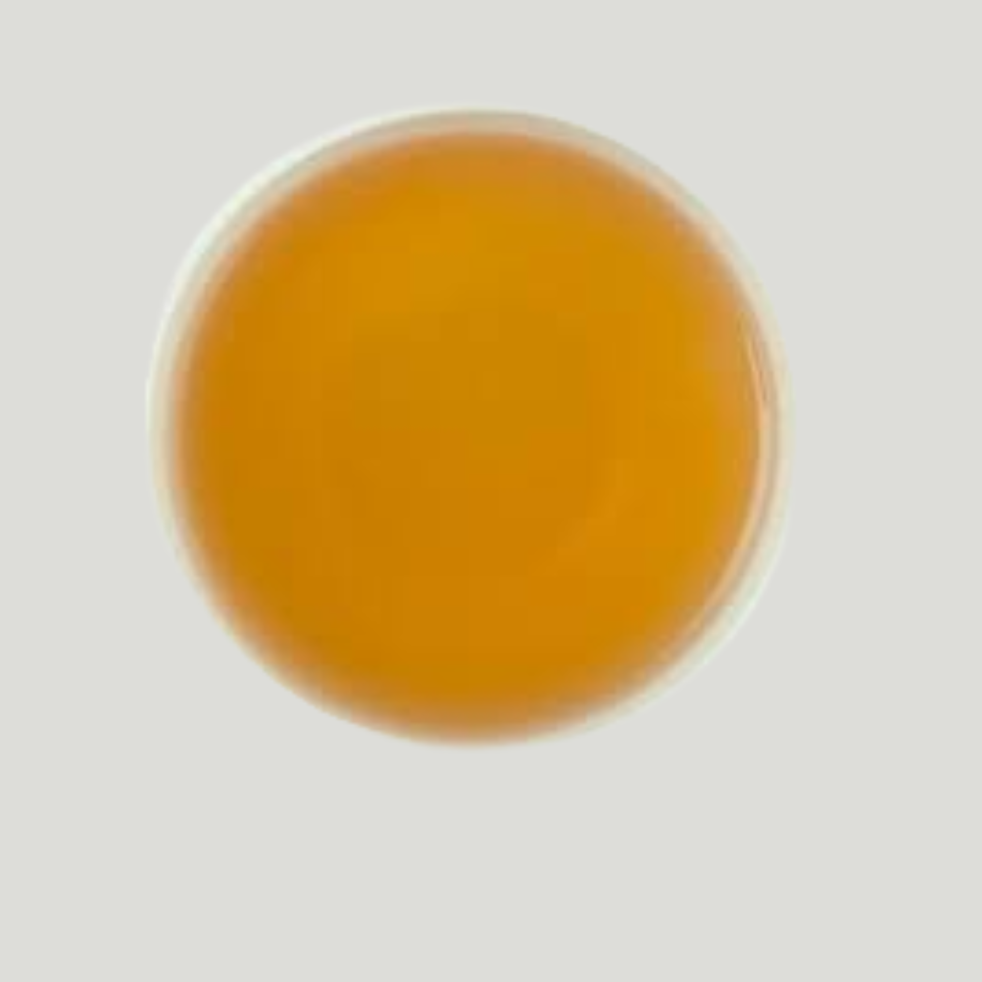 Chamomile flower and Darjeeling black tea blend ingredient illustration