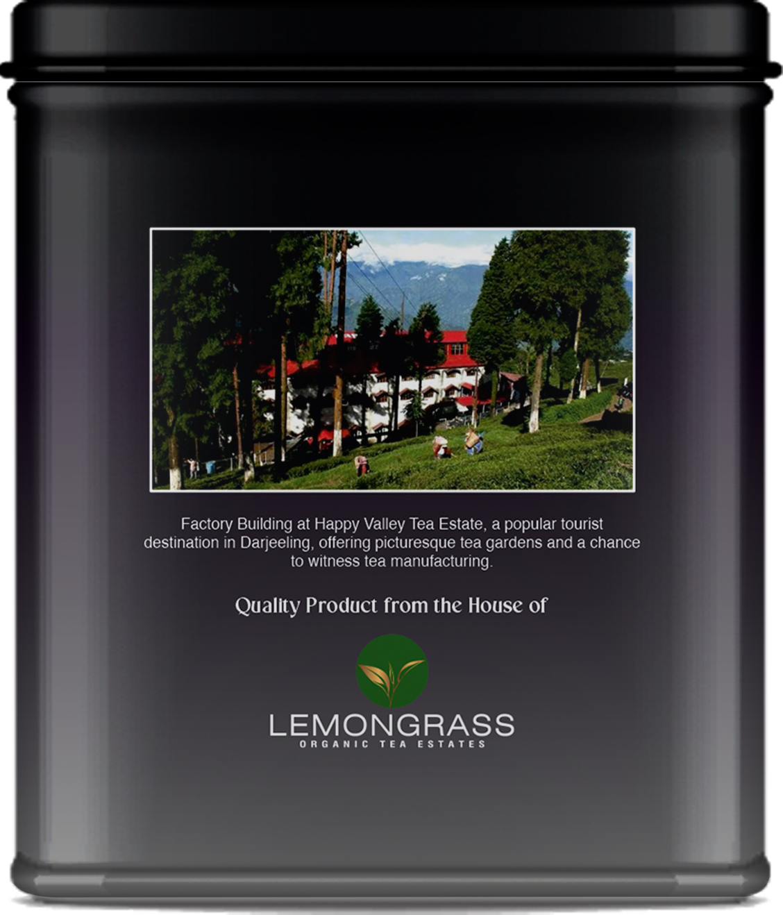 Darjeeling roasted black tea tin displayed with plantation origin visual.