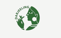 screenshot 2025 11 13 190438